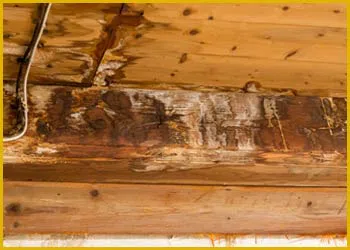 Miami Gardens Restoration Expert Miami Gardens, FL 786-349-3023 - cont-img-water-damage