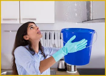 Miami Gardens Restoration Expert Miami Gardens, FL 786-349-3023 - cont-img-water-leaks
