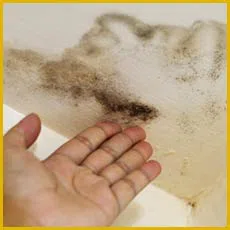 Miami Gardens Restoration Expert Miami Gardens, FL 786-349-3023 - sidebar-img-water-damage