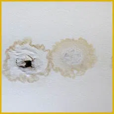 Miami Gardens Restoration Expert Miami Gardens, FL 786-349-3023 - sidebar-img-water-leaks